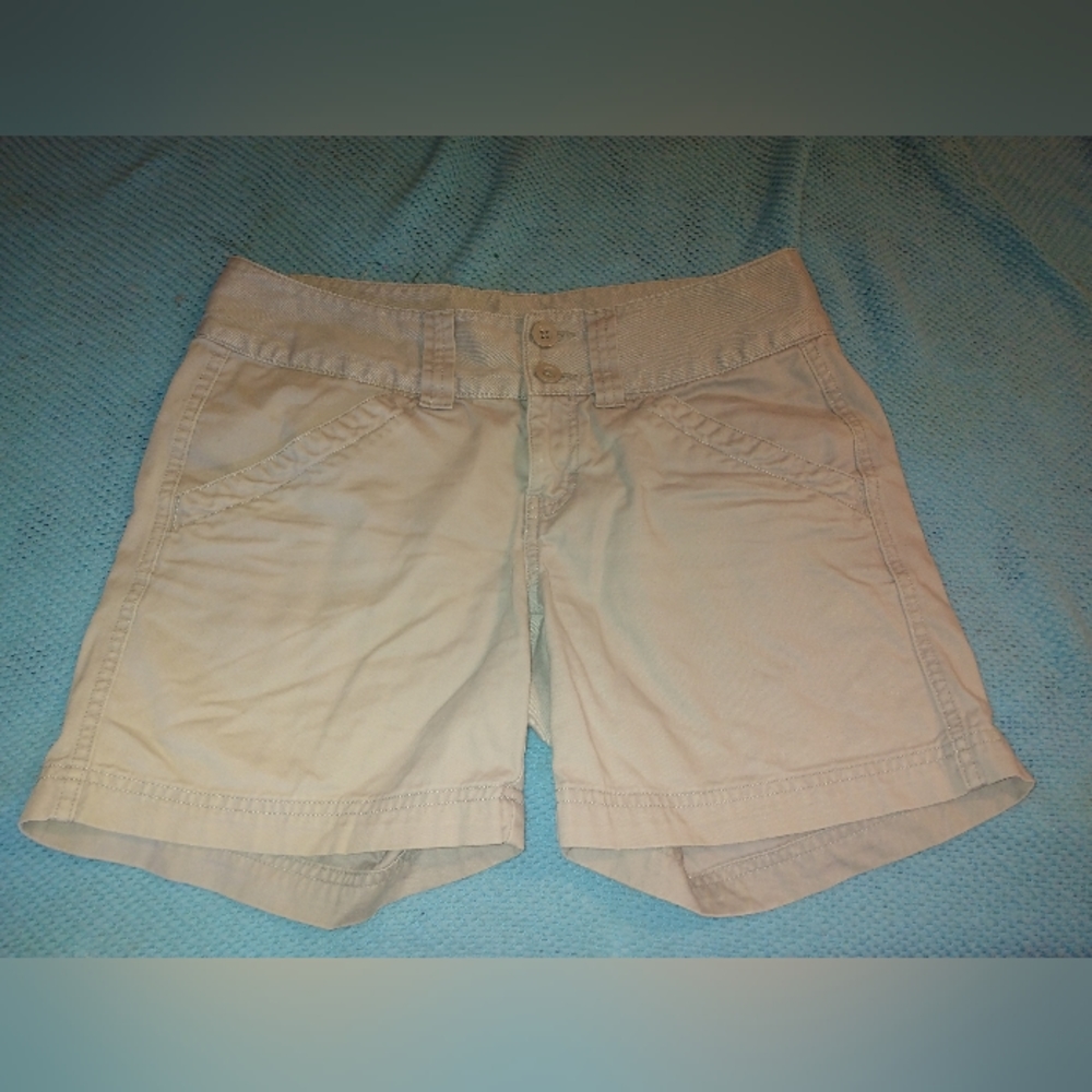 The North Face Gray Shorts Women's